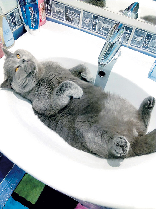 Джакузи стало тесновато в боках. Прислала Ирина РУСУ, Москва