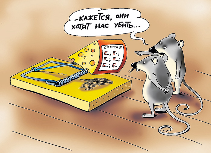 Рис. Катерины Мартинович