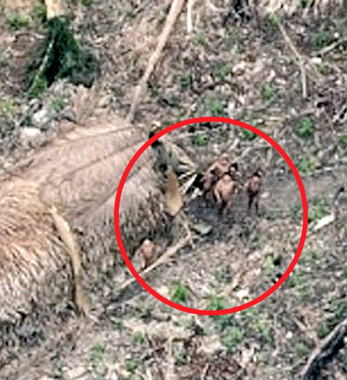 Открытие на Новой Гвинее племен, живущих в каменном веке, стало шоком для цивилизованного мира