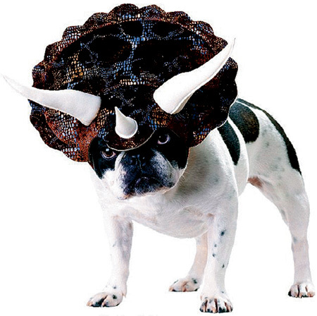 Мордатому французскому бульдогу рога и панцирь трицератопса явно к лицу