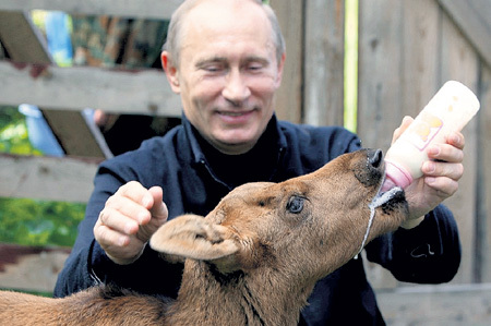 В. В. ПУТИН покормил лосёнка Лушу в Национальном парке «Лосиный остров» (июнь, 2010 г.)