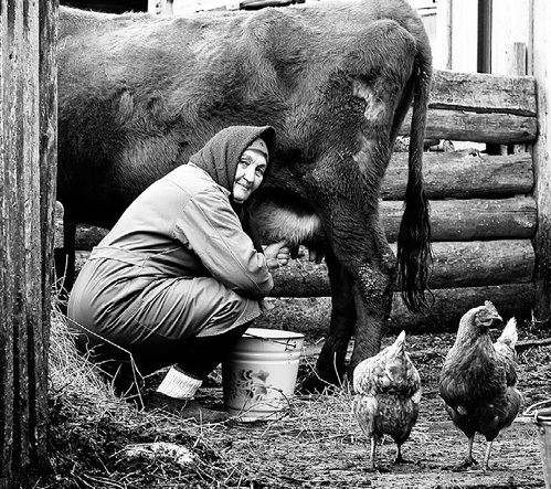 Пора переходить на натуральное хозяйство. Фото: sovch.chuvashia.com