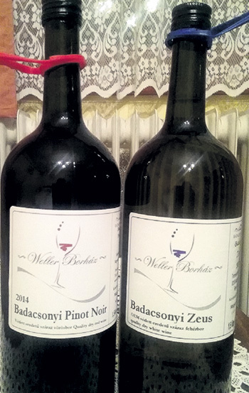 Правила виноделов в регионе Бадачонь: бутылок объёмом меньше 1,5 л не было