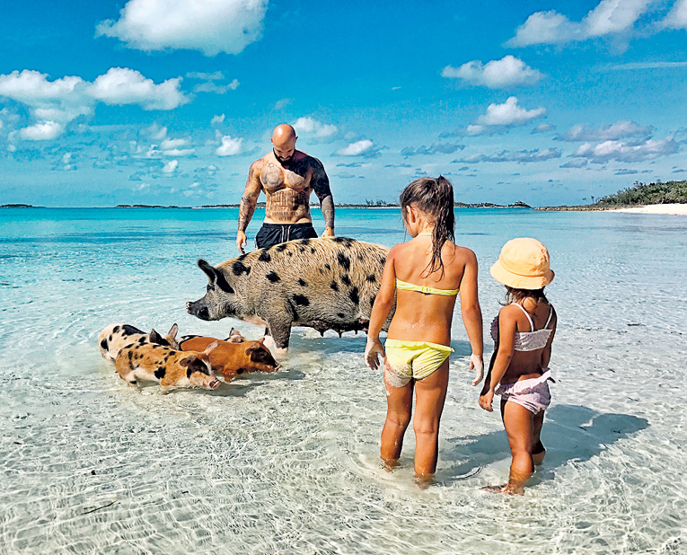 Хрюшки встретили ДЖИГАНА с Ариелой и Леей как родных