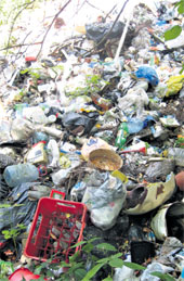 СВАЛКА: прямо под забором лукойловского поселка