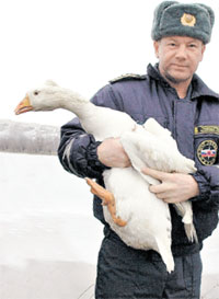 КОНСТАНТИН ЛИТВИНОВ: Тимка, похоже, принял спасателя за ледокол!