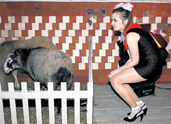 ПАТРИОТКА: спряталась от посла в живом уголке модного журнала