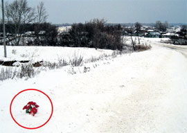 МЕСТО ТРАГЕДИИ: всю зиму там, где погибла женщина, лежал букет красных цветов (фото из уголовного дела)