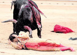 ЧЕЛОВЕК И БЫК: поменялись ролями