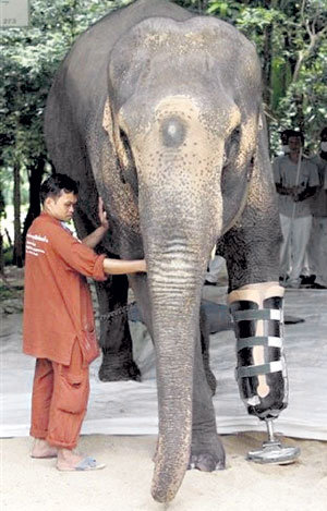 Лет до ста шагать нам без старости!