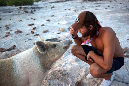 Ротшильд уверен, что свиней нельзя есть, потому что они умные - фото Theplastiki.com